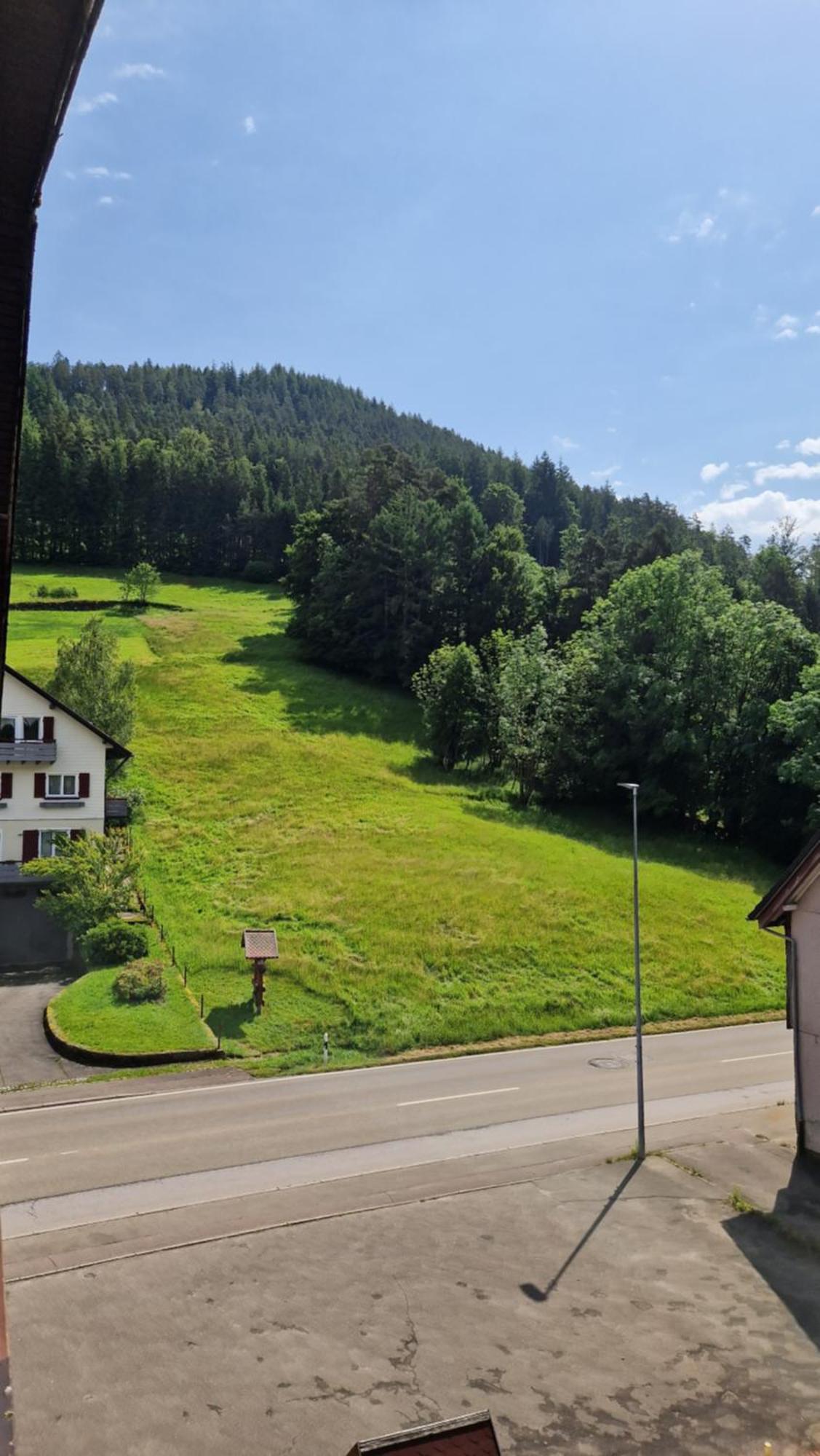 Schwanen Baiersbronn