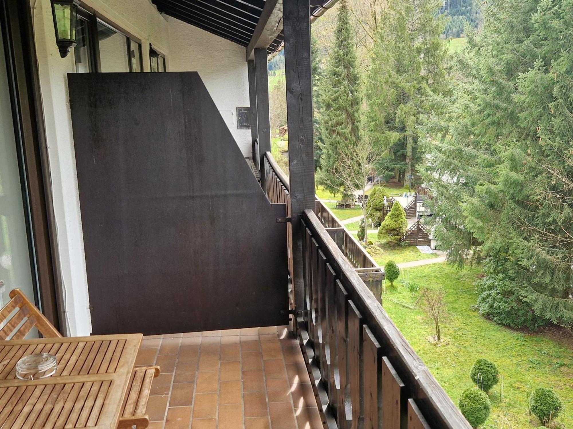 Отель Schwanen-Resort 3*